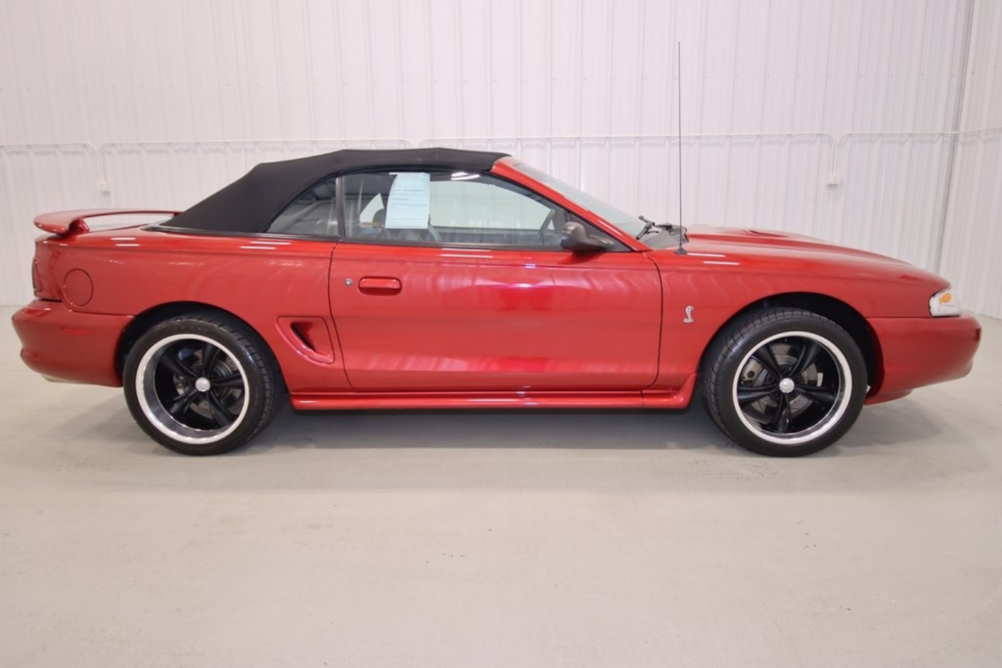 Used 1998 Ford Mustang COBRA with VIN 1FAFP46V6WF136743 for sale in Canfield, OH