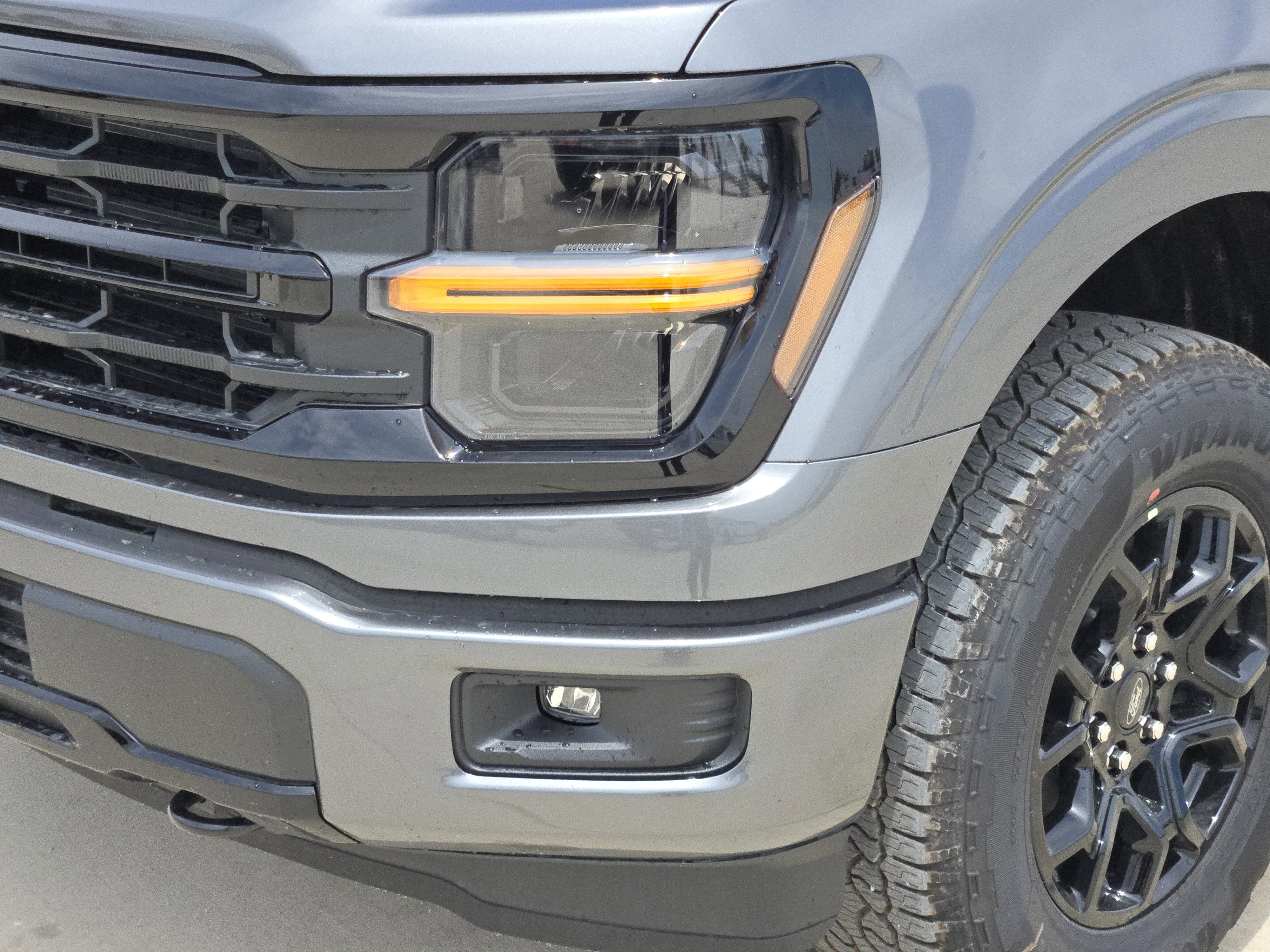 2025 Ford F-150 XLT photo 6