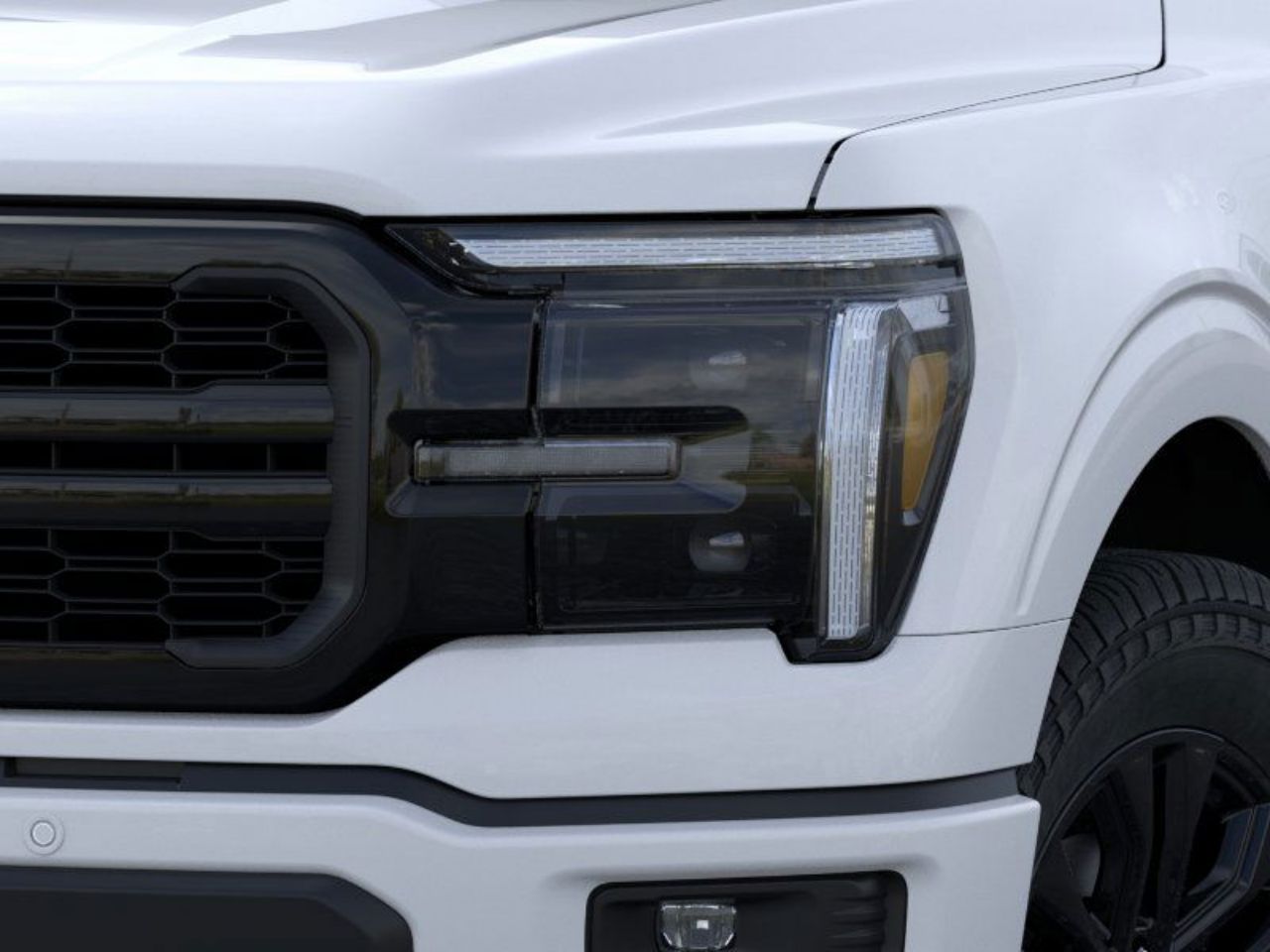 Showcase Image