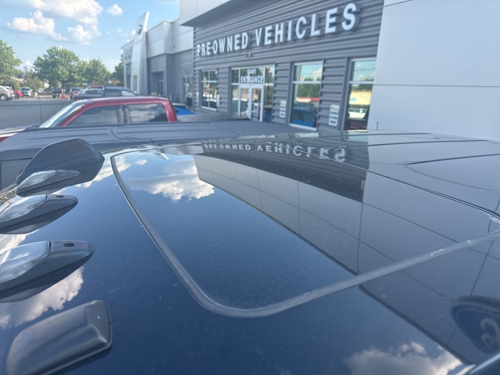 Showcase Image