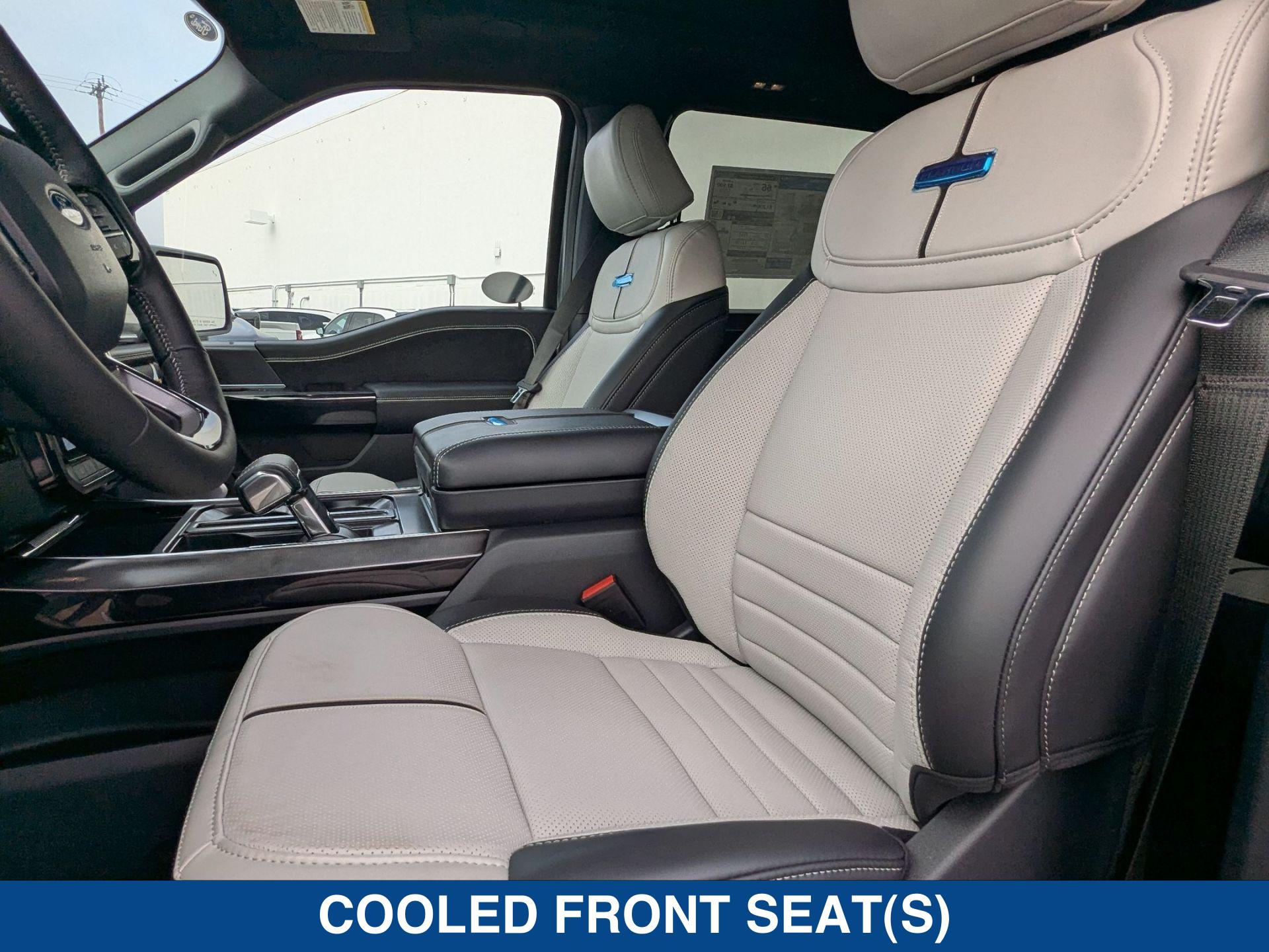 2025 Ford F-150 Lightning Platinum photo 15