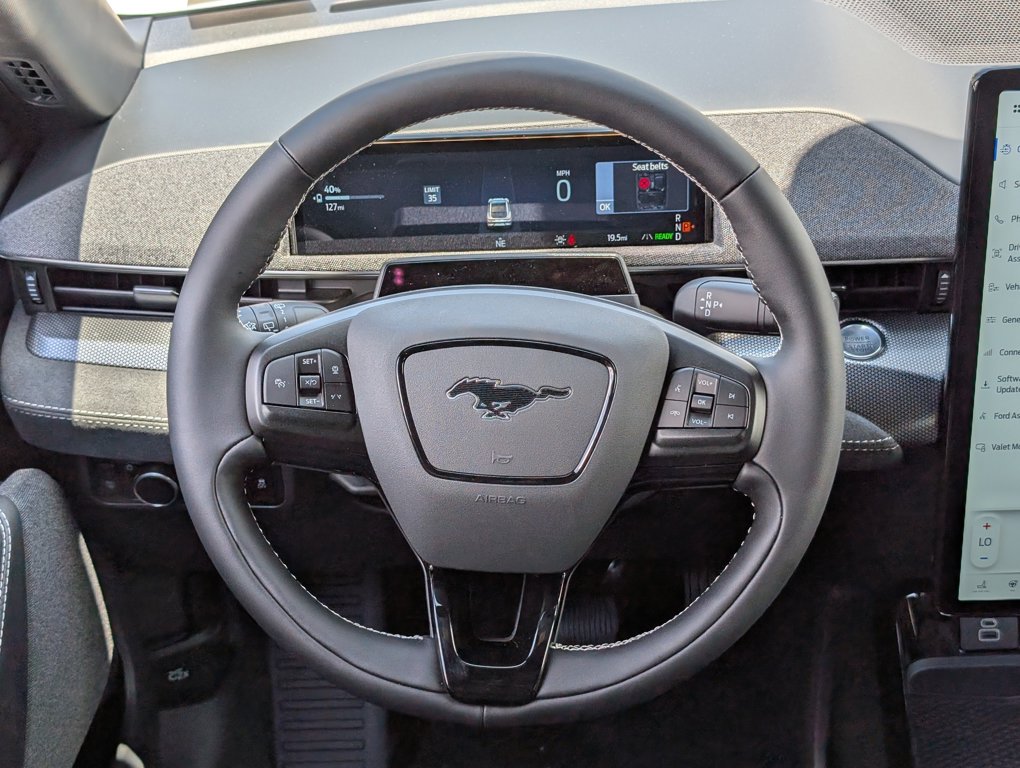 2025 Ford Mustang Mach-E GT photo 8