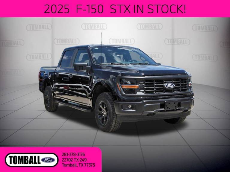 2025 Ford F-150 STX