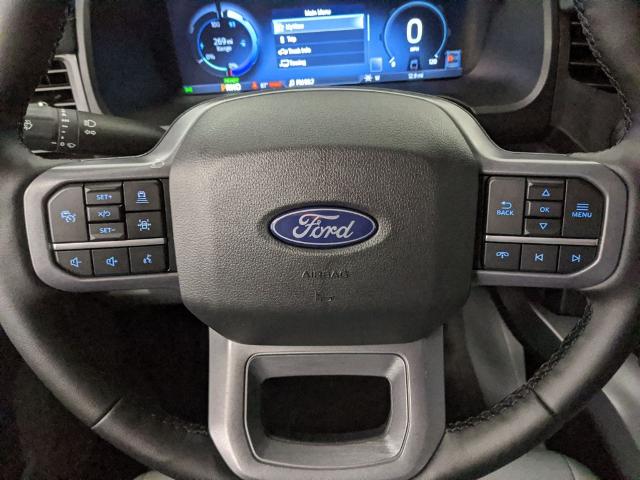 2025 Ford F-150 Lightning photo 13