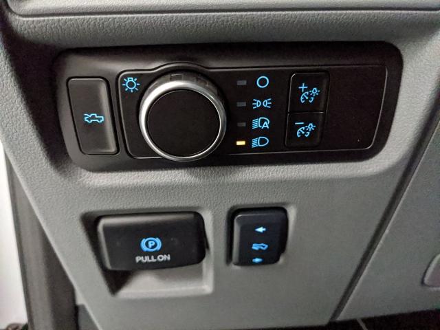 2025 Ford F-150 Lightning photo 16