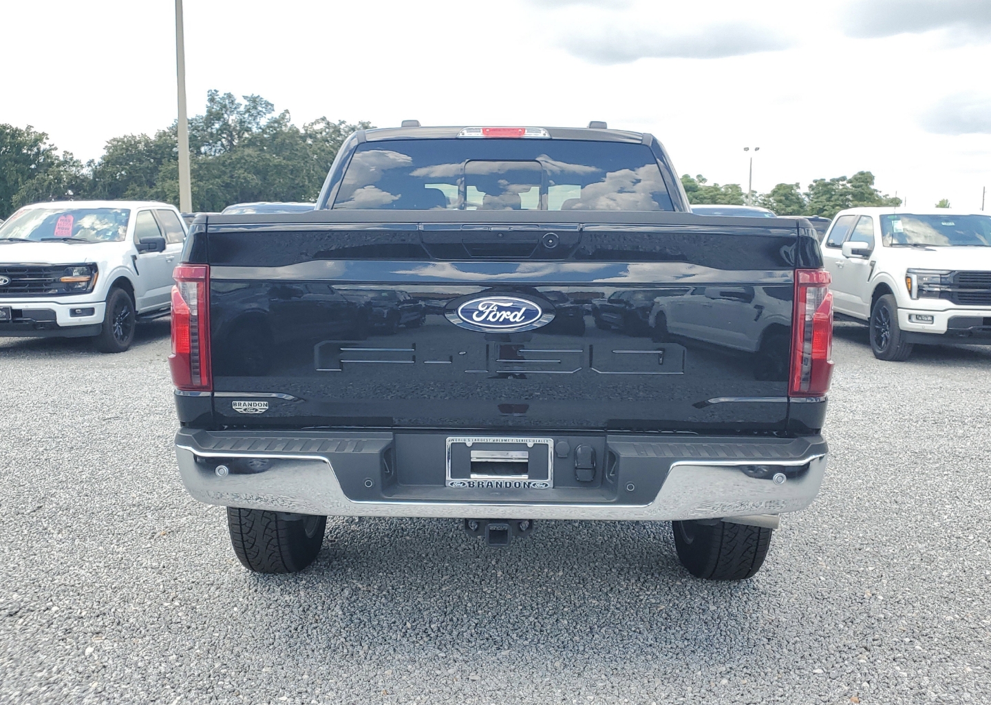 2025 Ford F-150 XLT - Photo 10