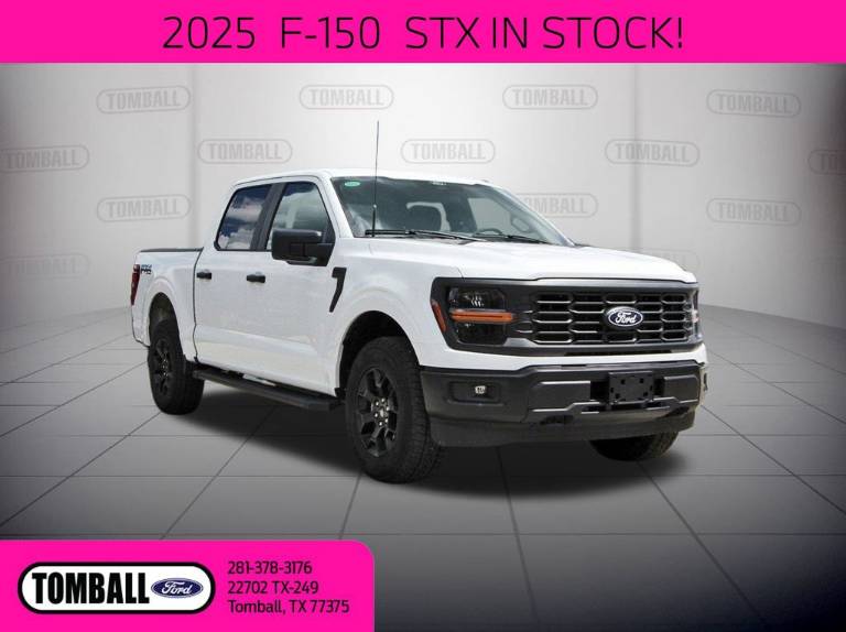 2025 Ford F-150 STX