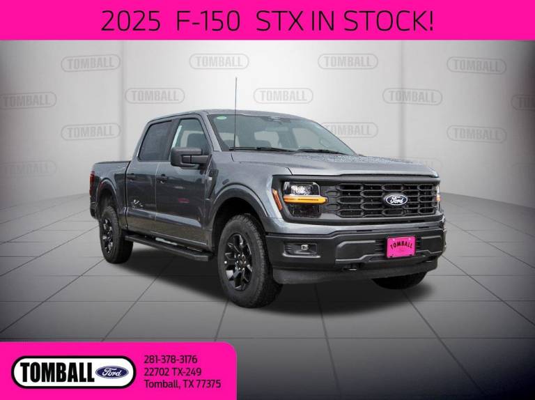 2025 Ford F-150 STX