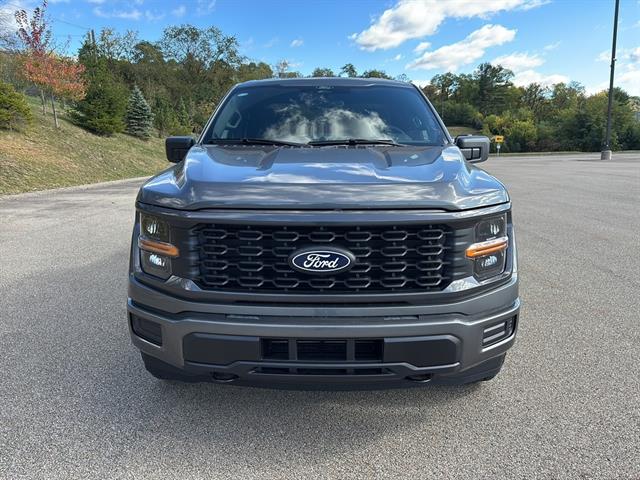 2025 Ford F-150 STX photo 3