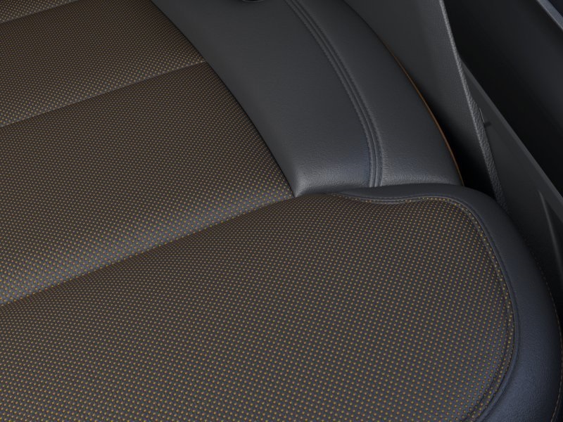 2025 Ford F-150 Tremor photo 10