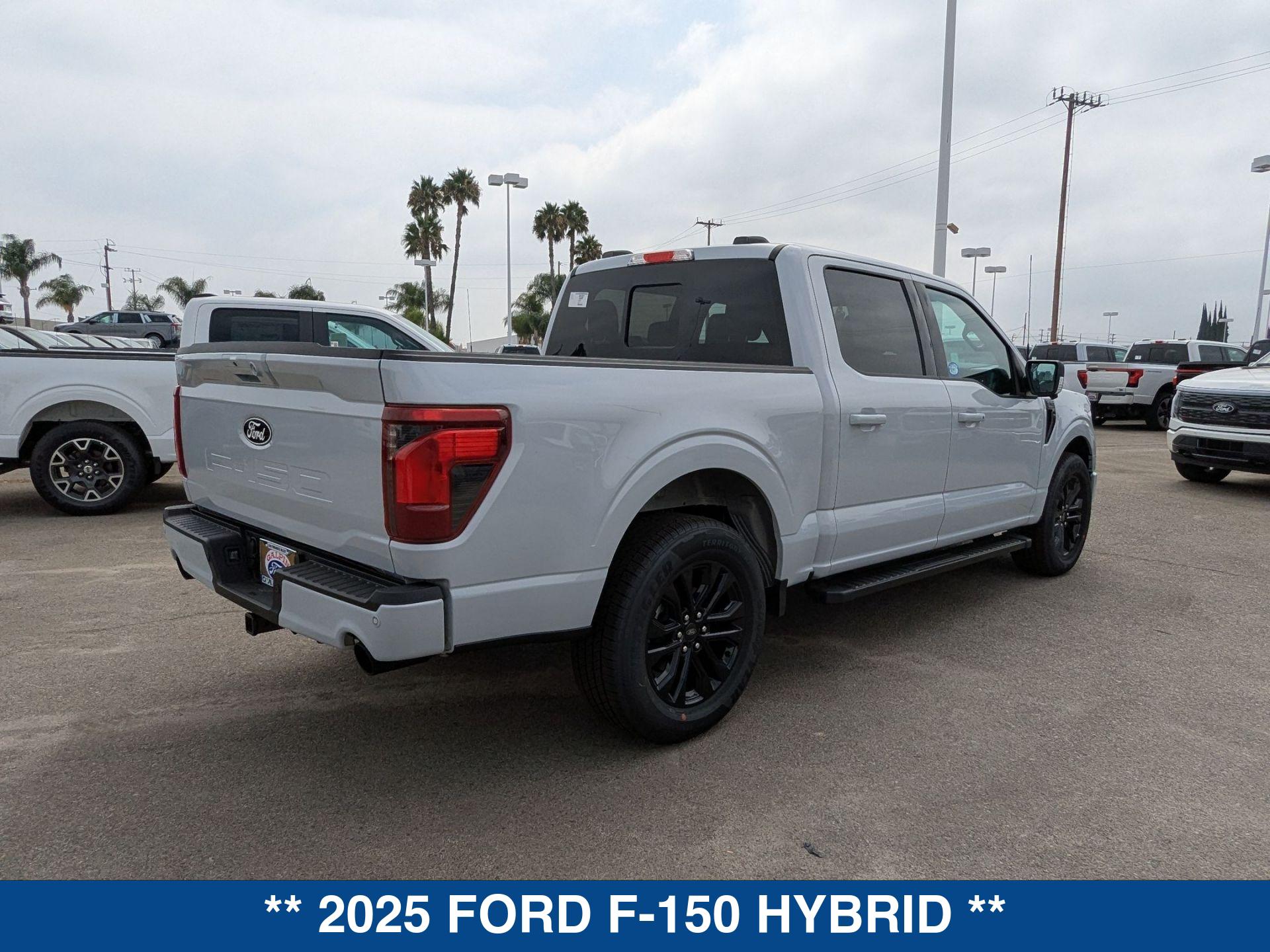 2025 Ford F-150 XLT photo 8