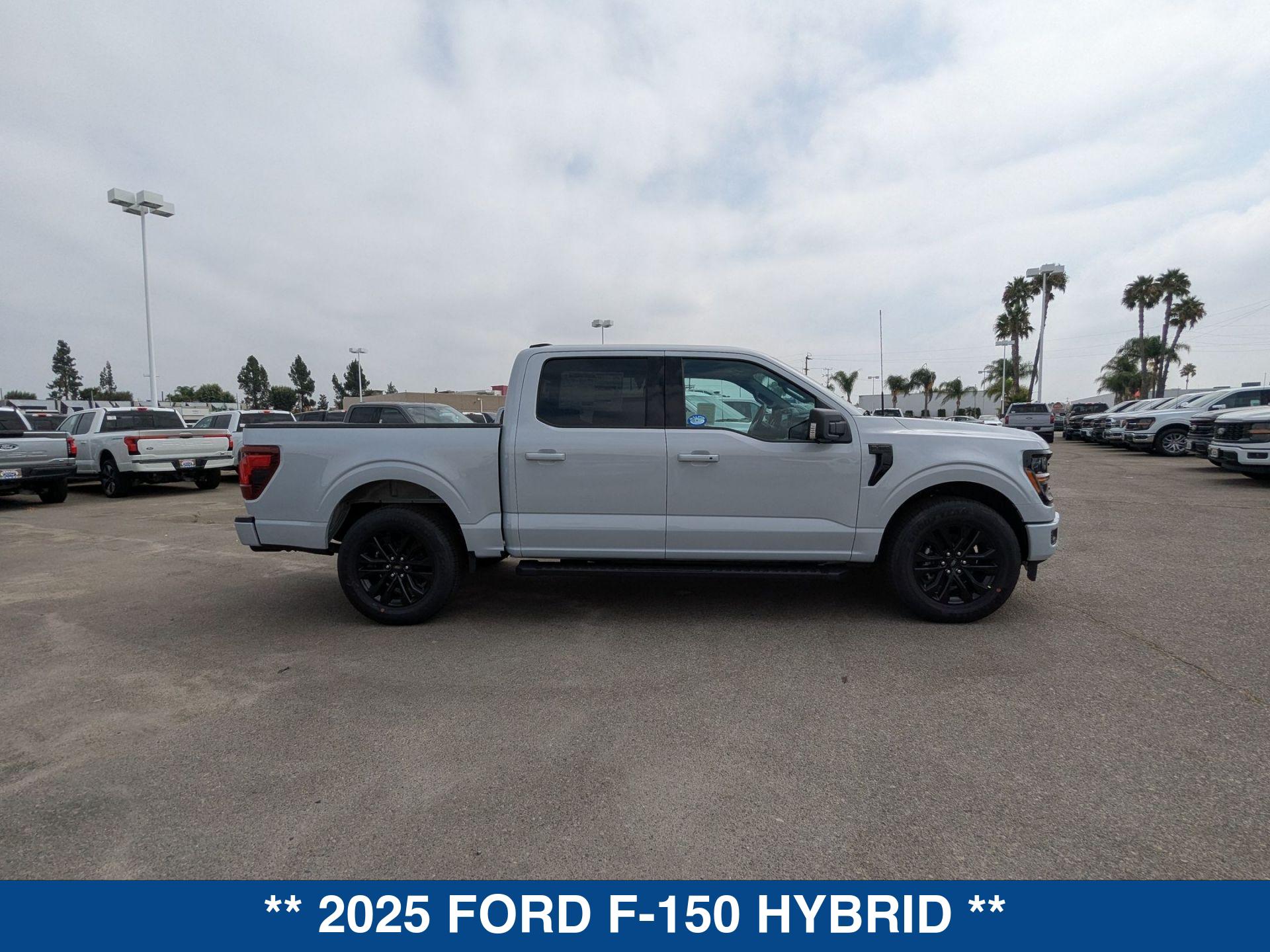 2025 Ford F-150 XLT photo 9