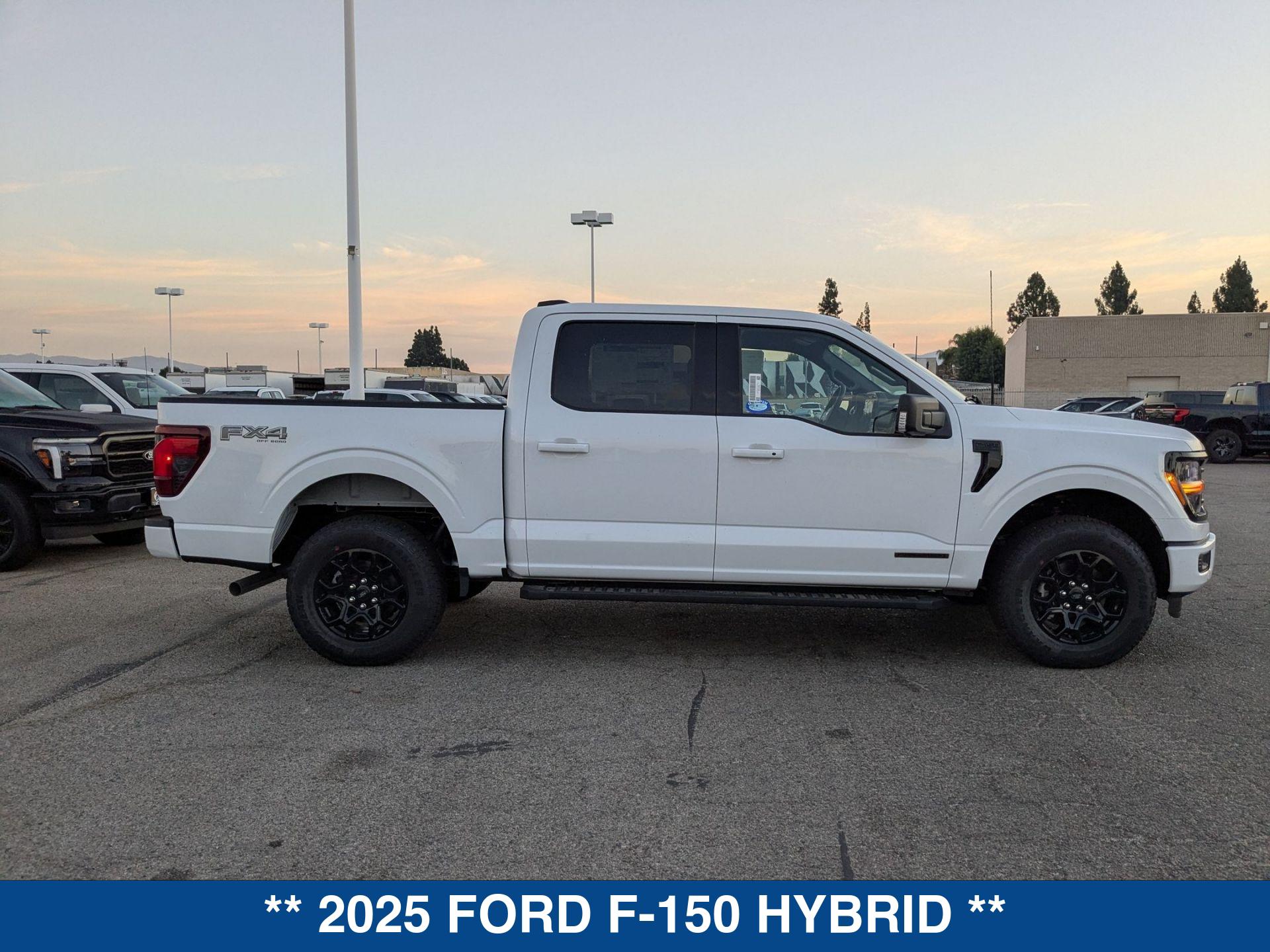2025 Ford F-150 XLT photo 9