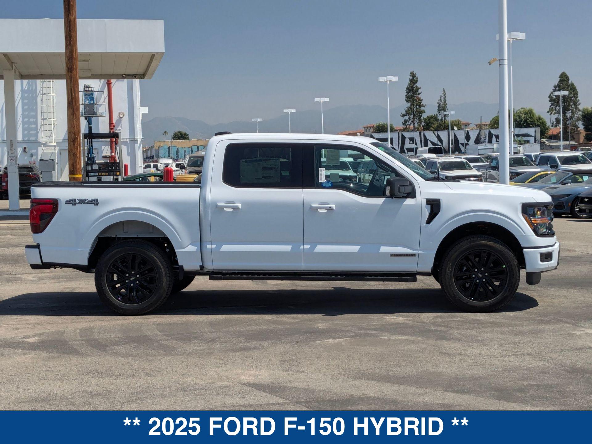 2025 Ford F-150 XLT photo 9