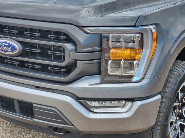 2023 Ford F-150 XLT photo 7