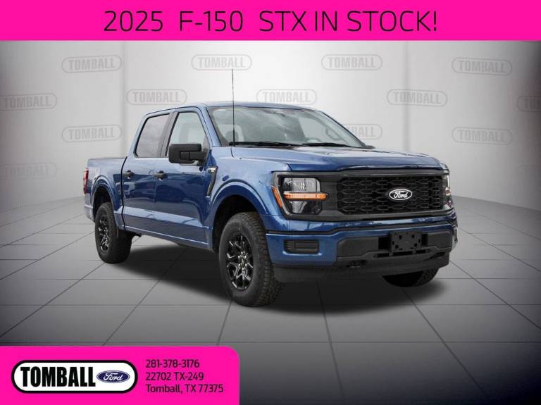 2025 Ford F-150 STX