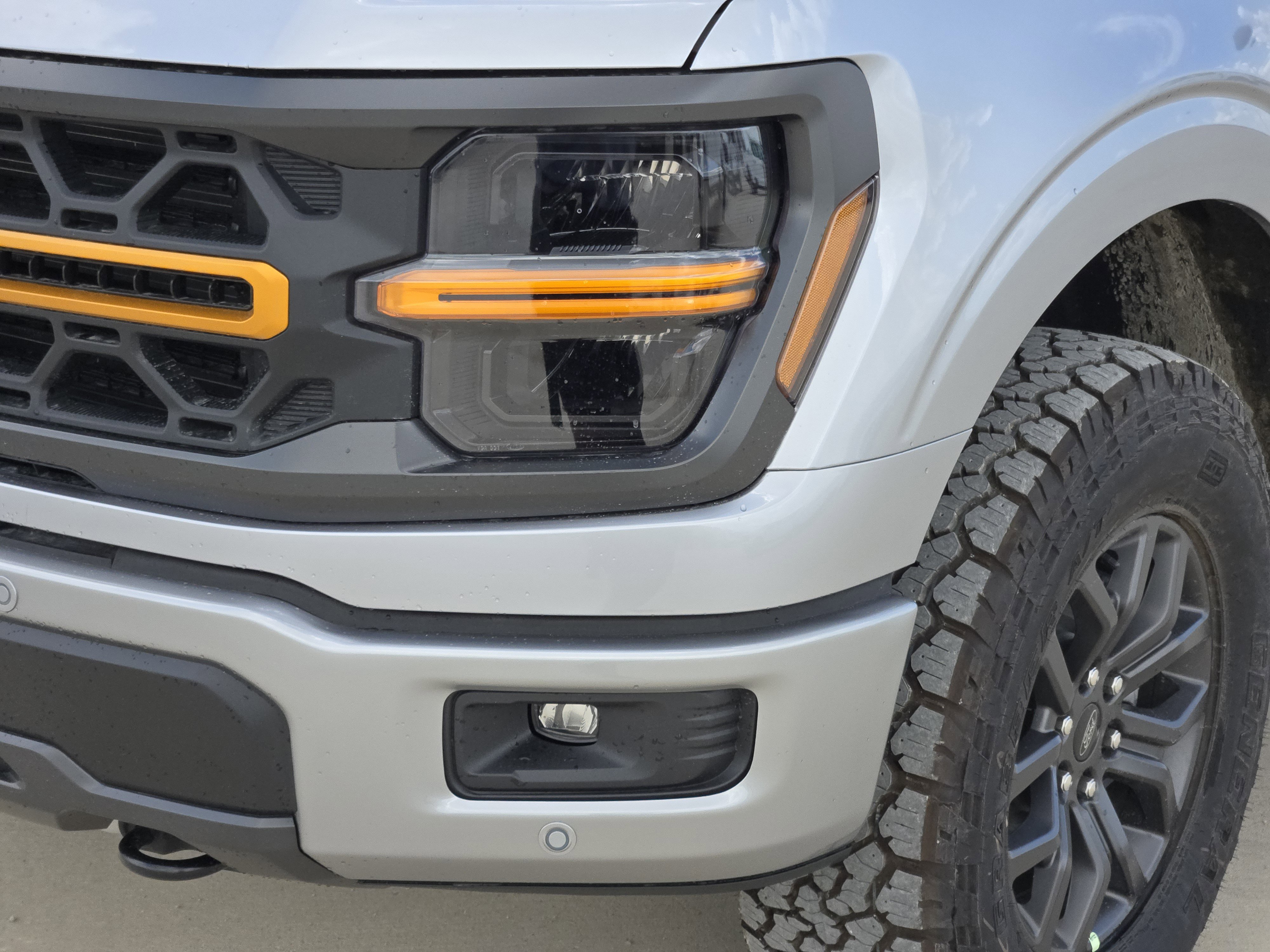 2025 Ford F-150 Tremor photo 3