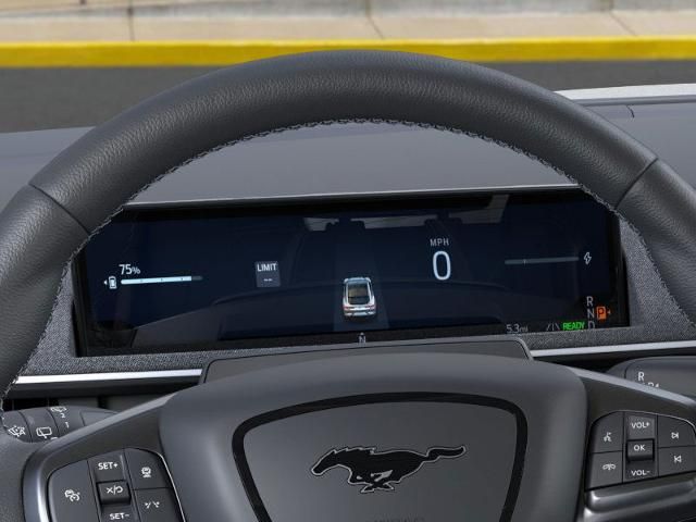 2025 Ford Mustang Mach-E GT photo 12