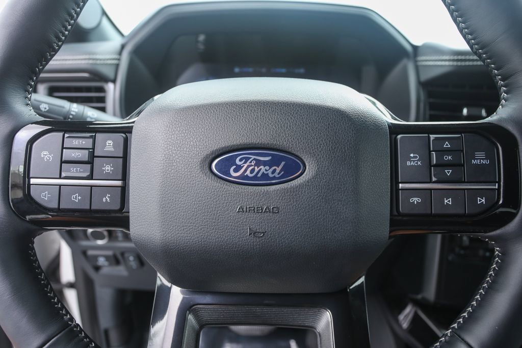 2025 Ford F-150 Lightning Platinum photo 9
