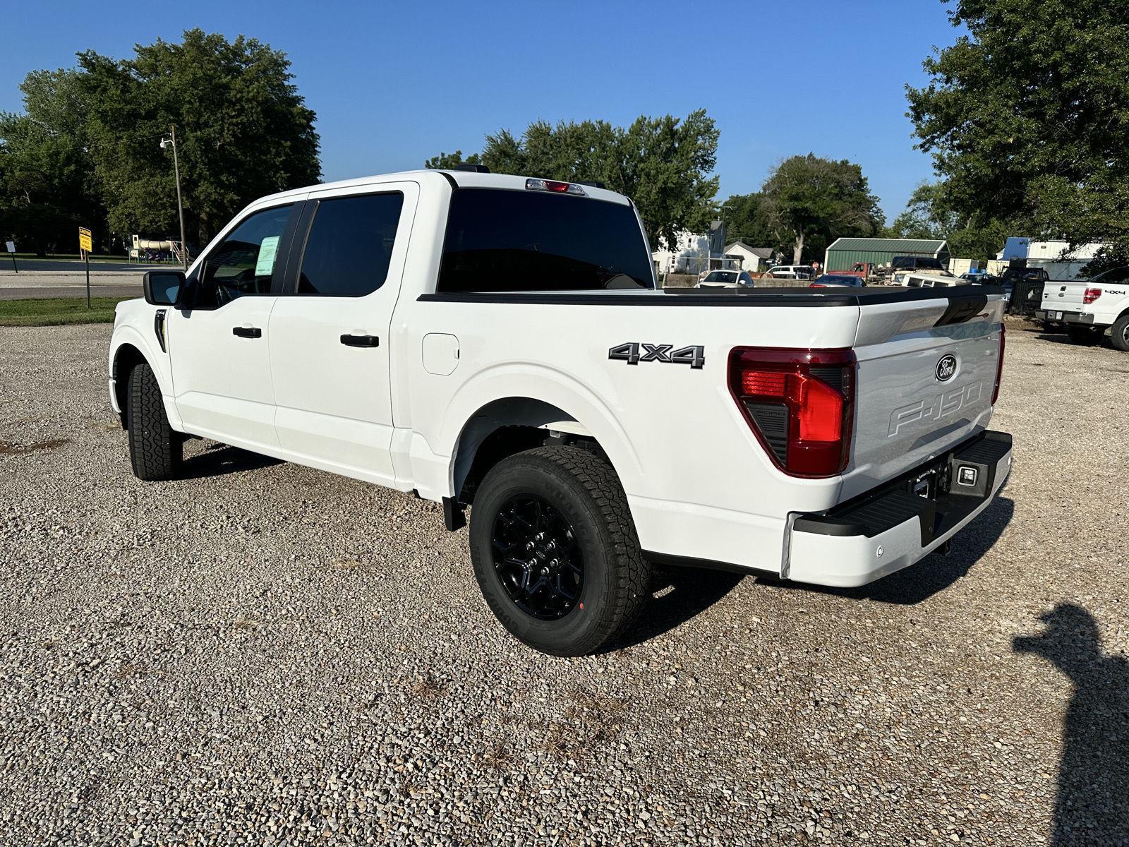 2025 Ford F-150 STX photo 8