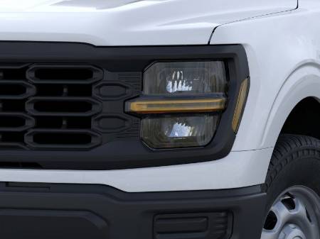 Showcase Image