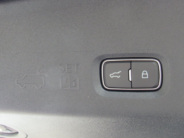 2025 Ford Expedition Platinum photo 6
