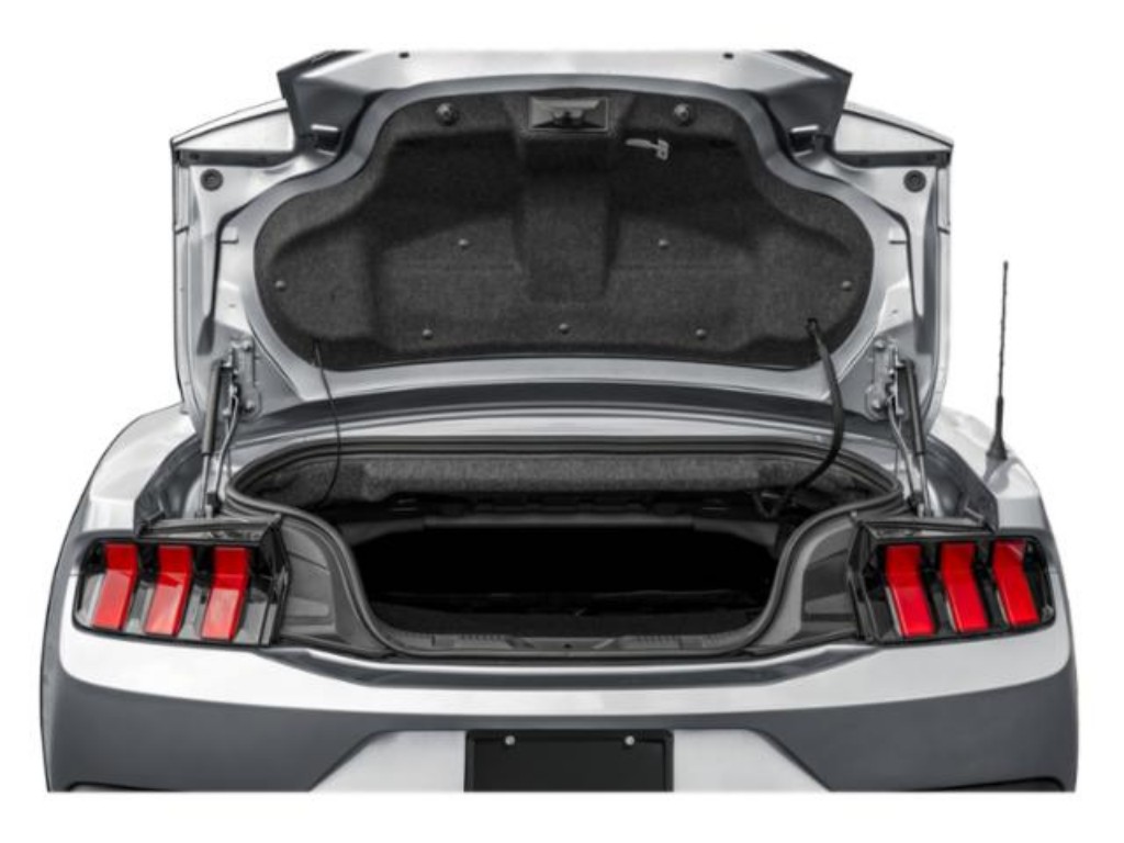 Showcase Image
