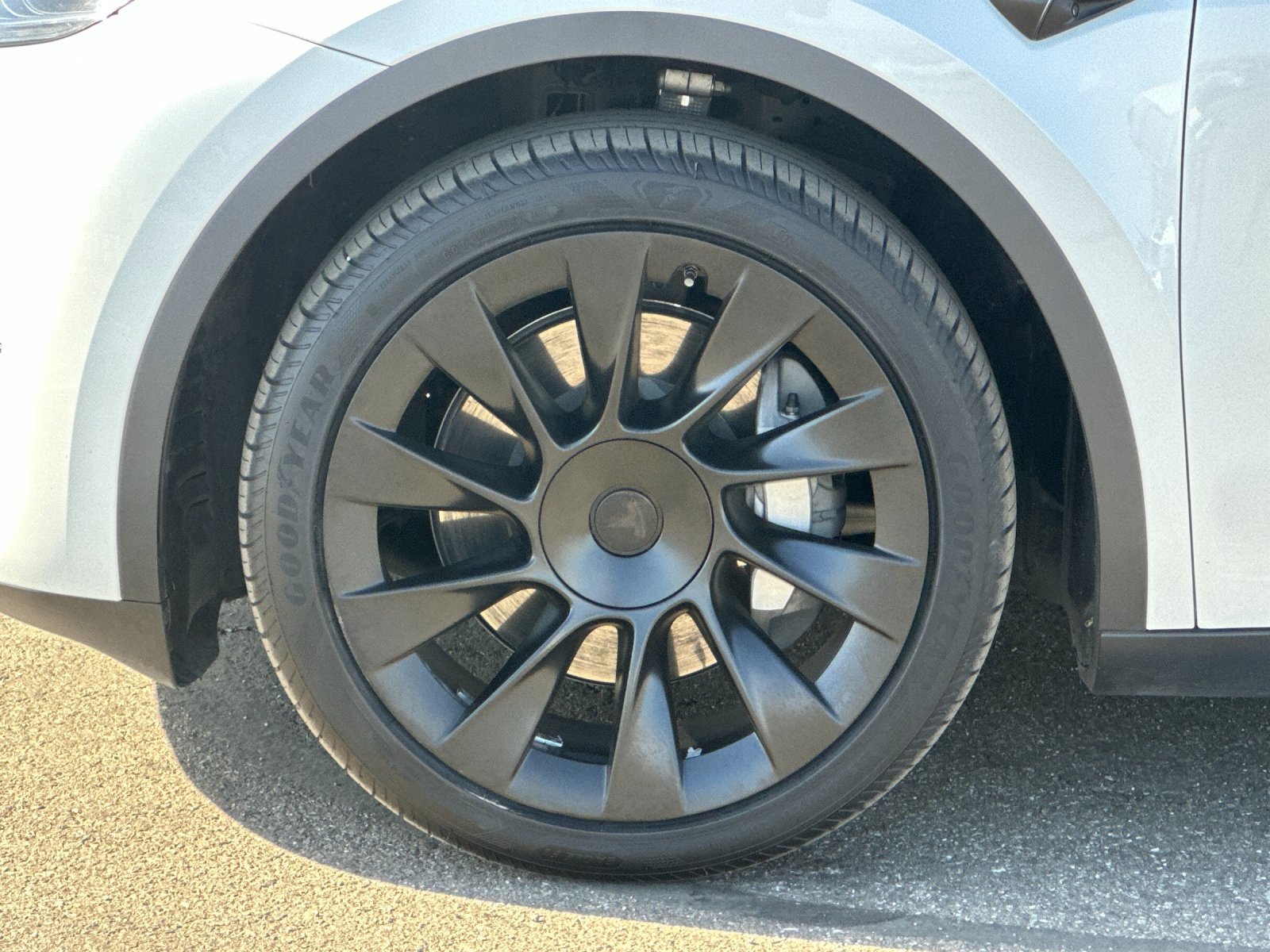2023 Tesla Model Y photo 15