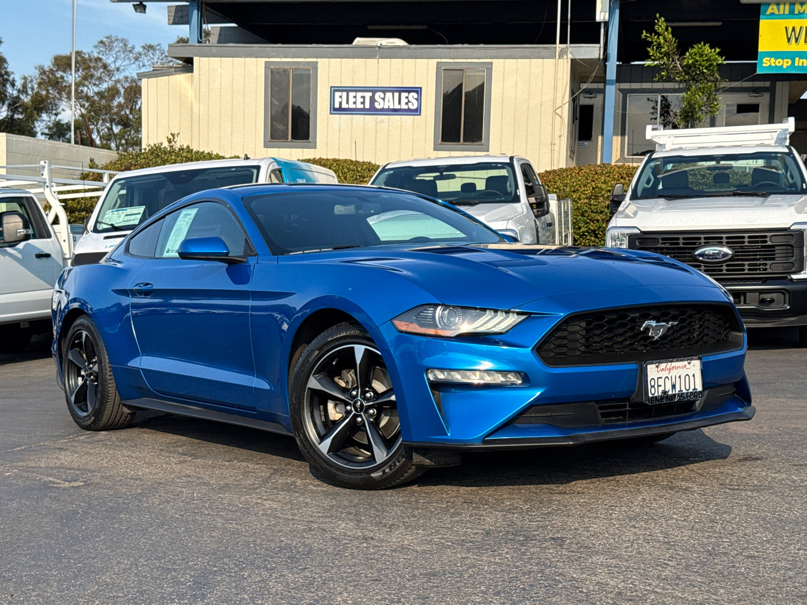 2019 Ford Mustang photo 2