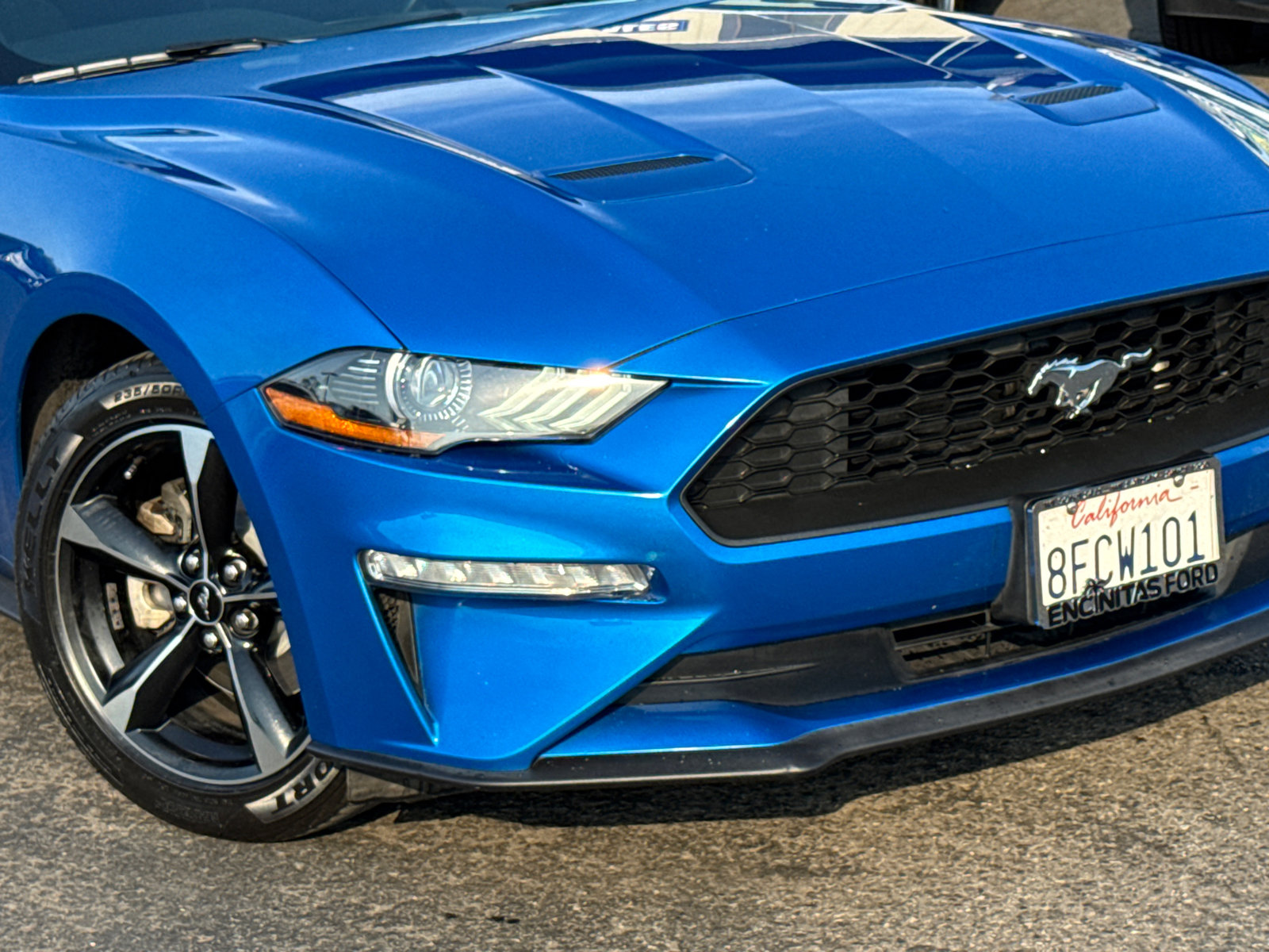2019 Ford Mustang photo 3