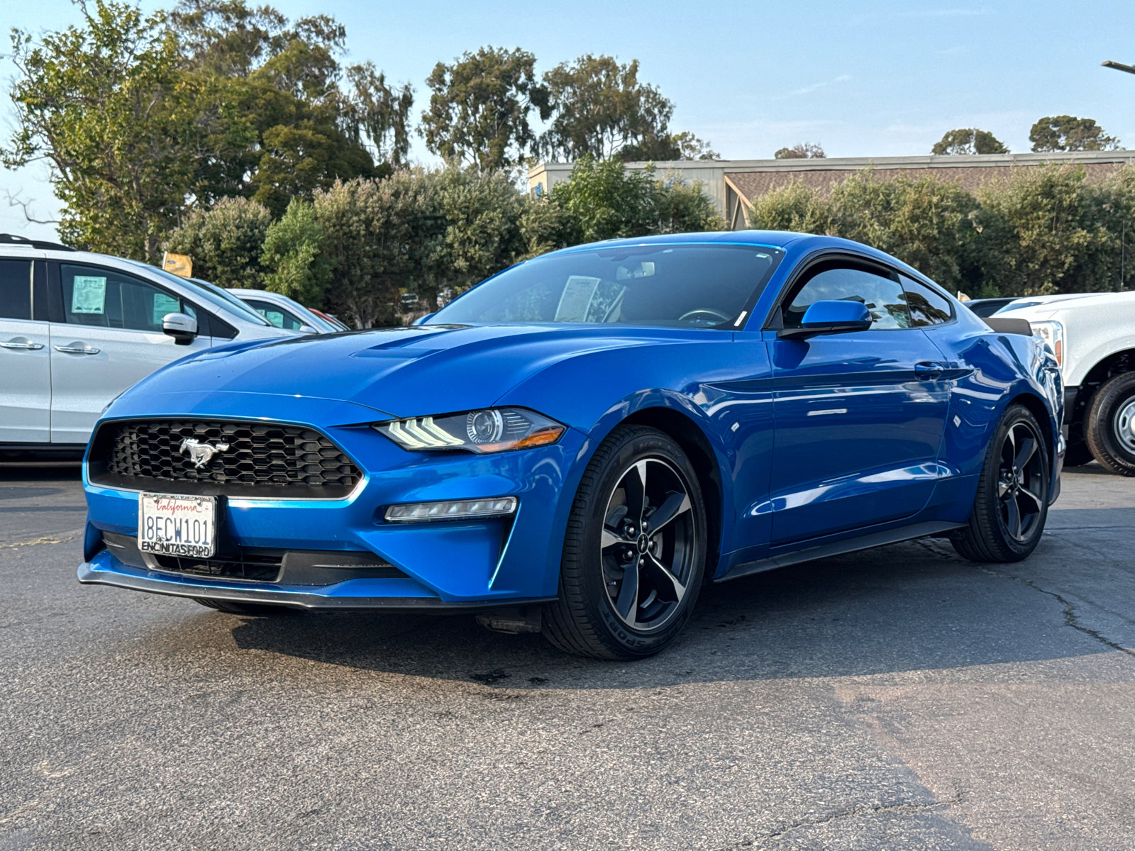 2019 Ford Mustang photo 4