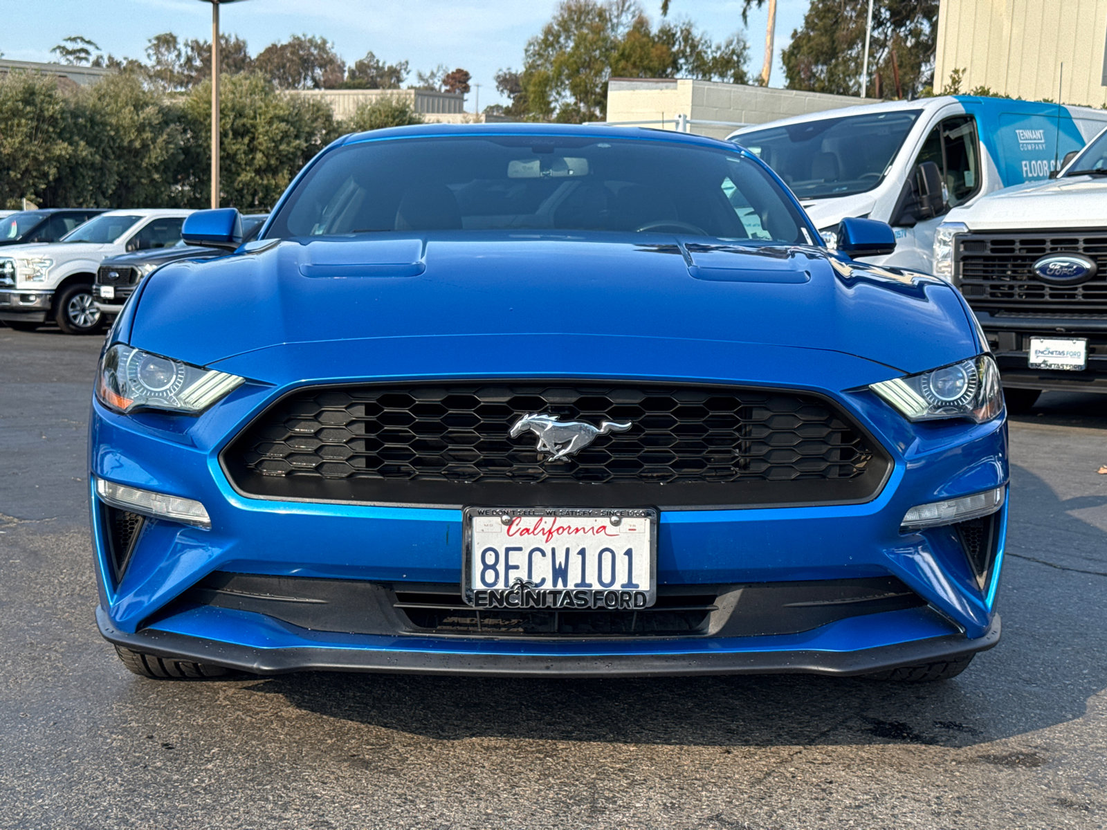 2019 Ford Mustang photo 5