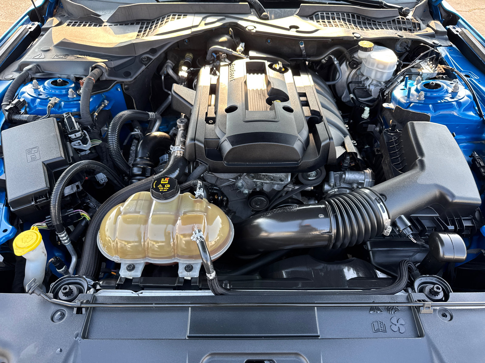 2019 Ford Mustang photo 8
