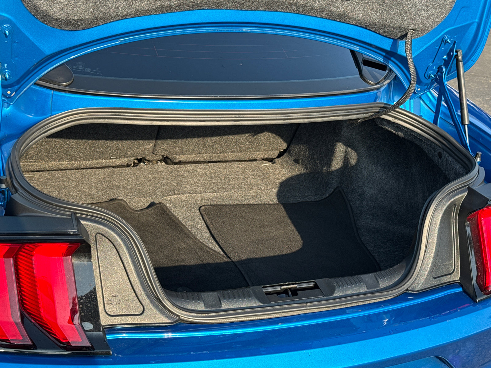 2019 Ford Mustang photo 9