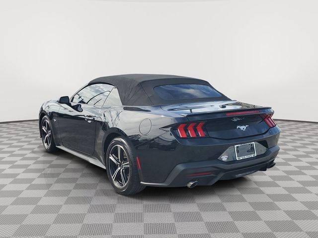 2024 Ford Mustang EcoBoost Premium photo 3