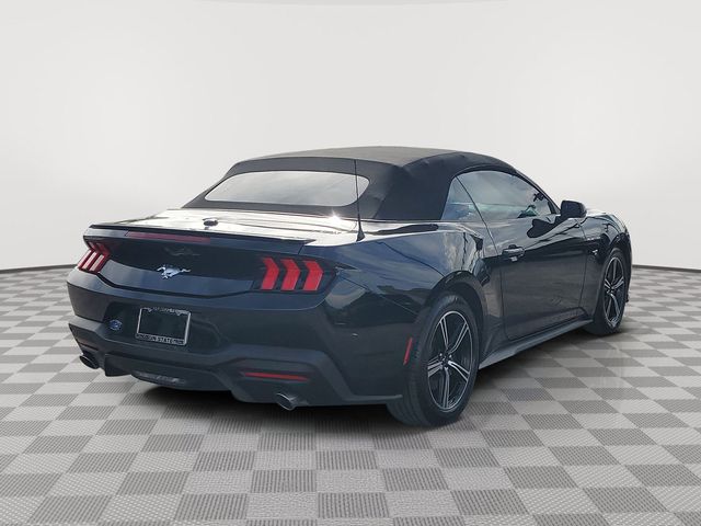 2024 Ford Mustang EcoBoost Premium photo 4