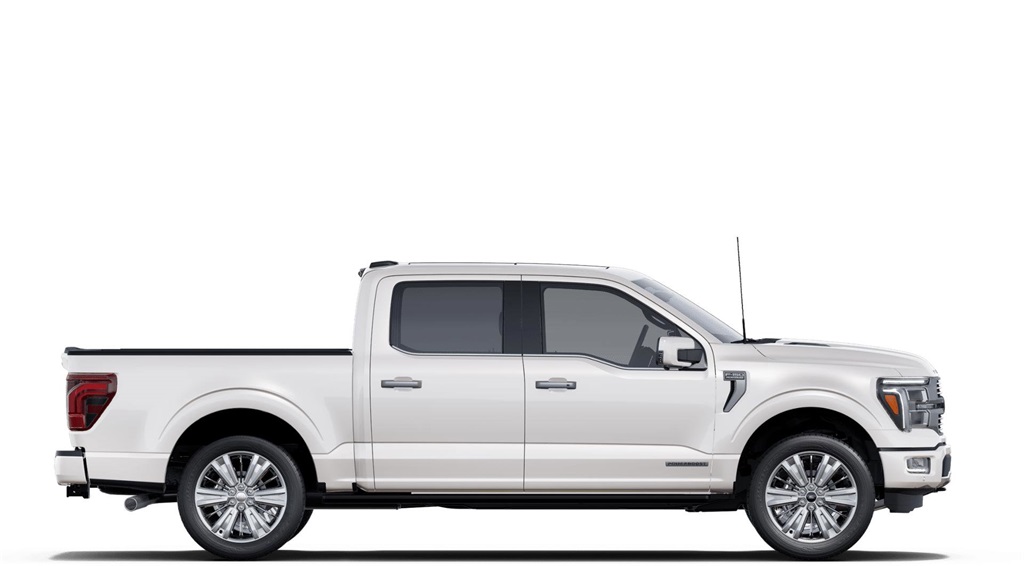 2025 Ford F-150 Platinum photo 5
