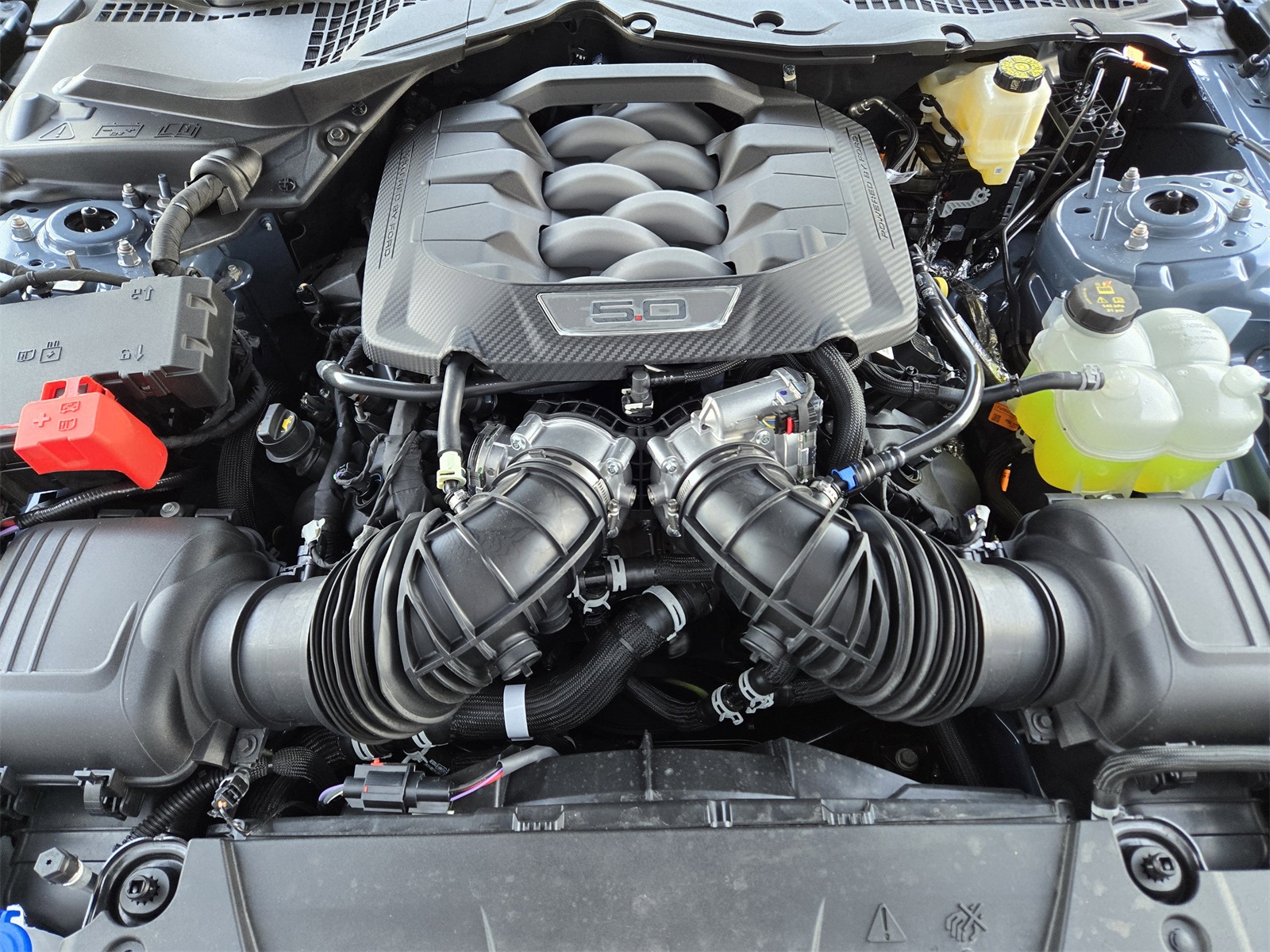 2025 Ford Mustang GT Premium photo 17