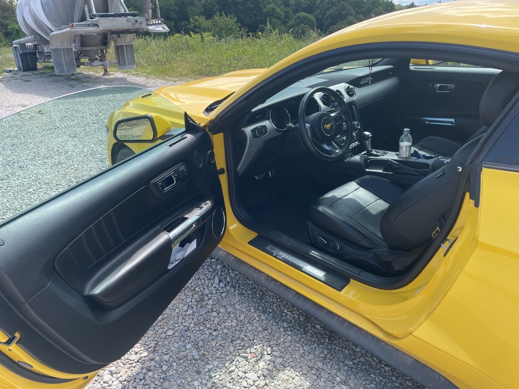 Showcase Image