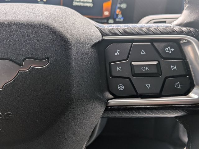 2024 Ford Mustang GT photo 14