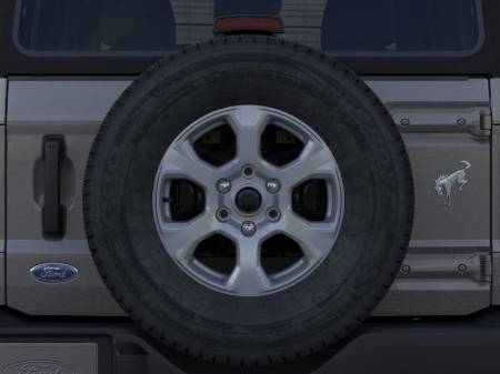 Showcase Image