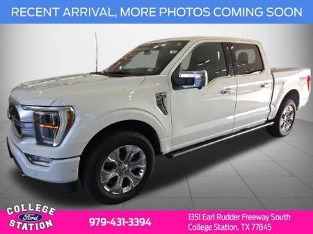 2021 Ford F-150 Platinum