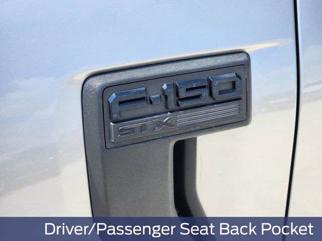 2023 Ford F-150 XL photo 11