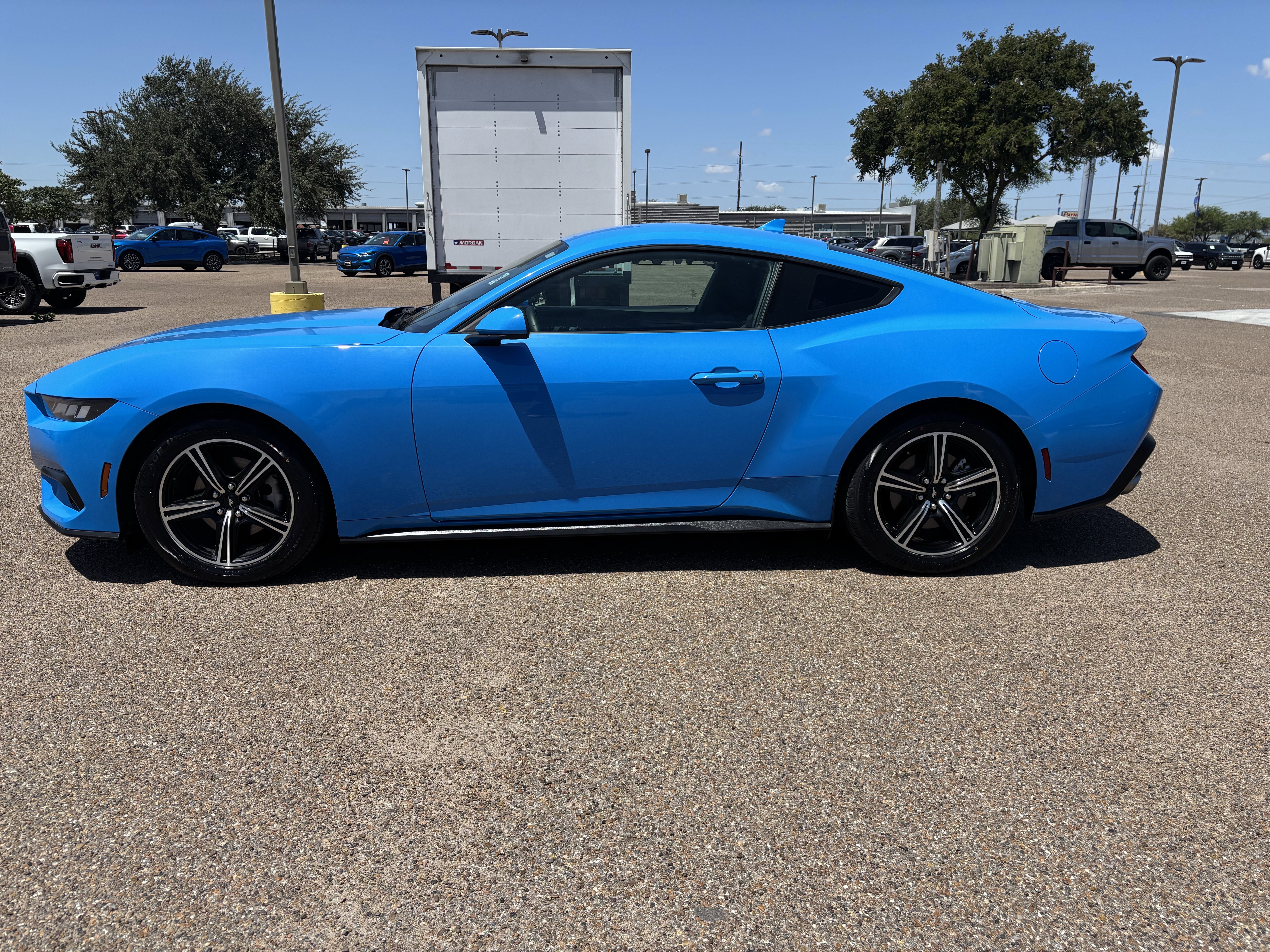 2024 Ford Mustang photo 2