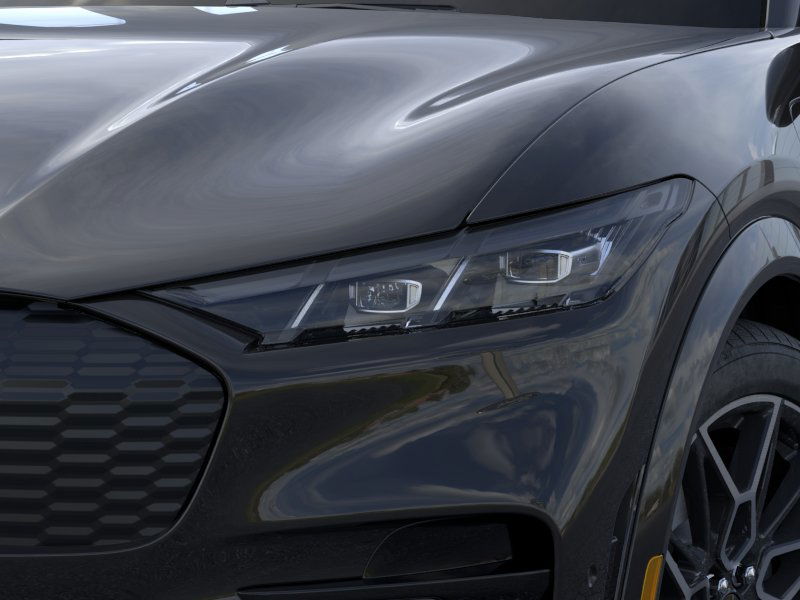 Showcase Image