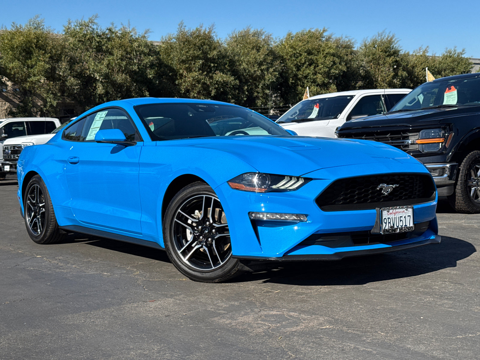 2022 Ford Mustang photo 2