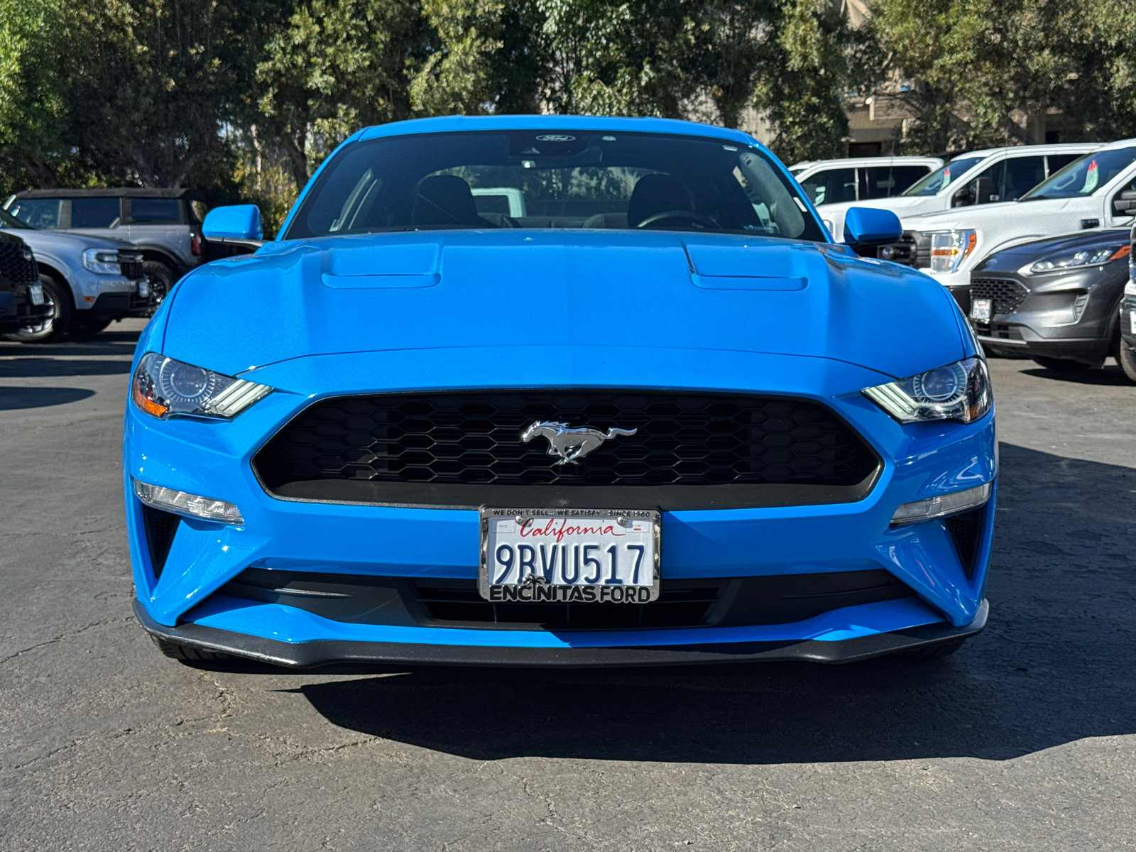 2022 Ford Mustang photo 5