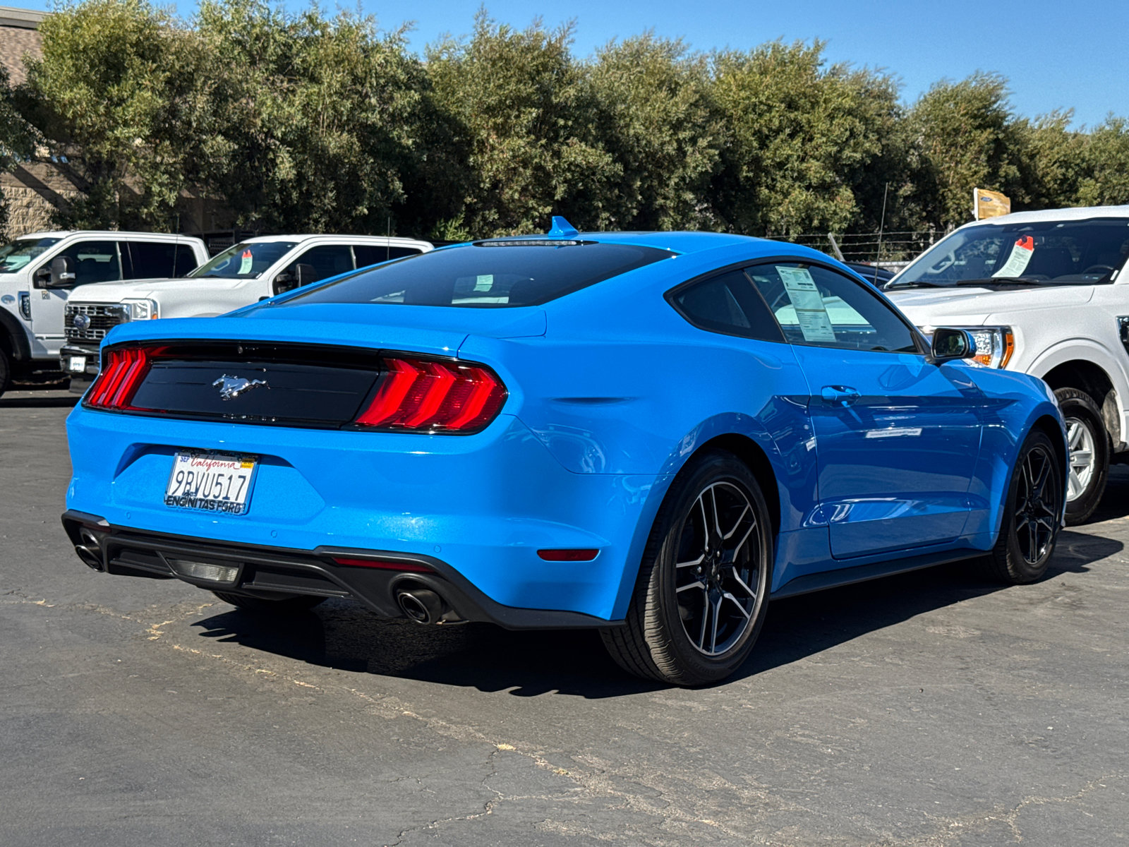 2022 Ford Mustang photo 13
