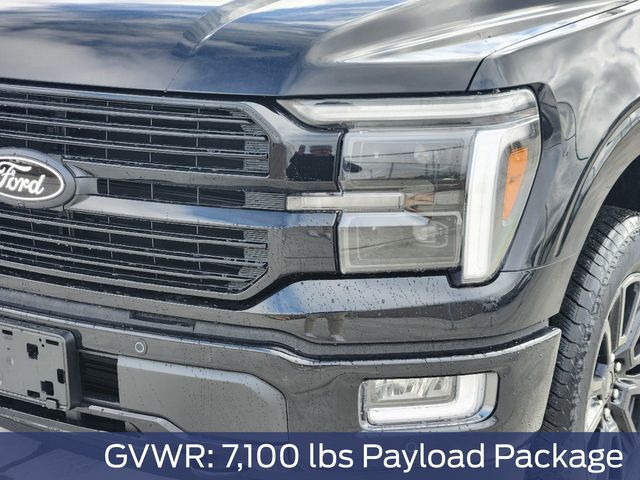 2025 Ford F-150 Platinum photo 5