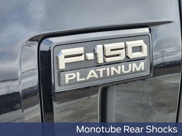 2025 Ford F-150 Platinum photo 8